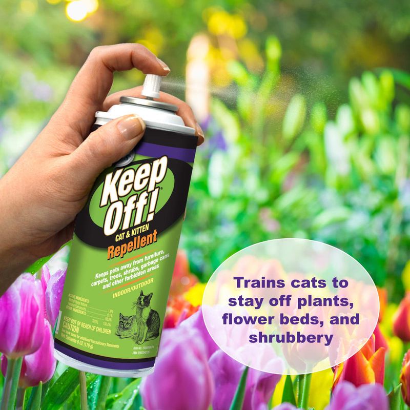 Apply Cat-Repellent Spray