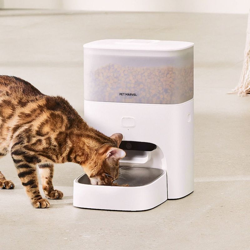 Automatic Feeder with Voice Recording