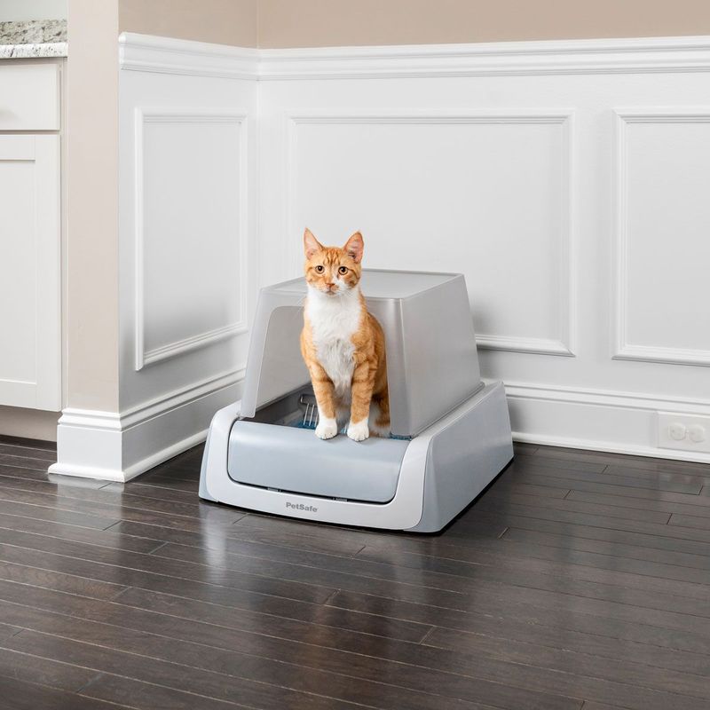 Automatic Litter Box