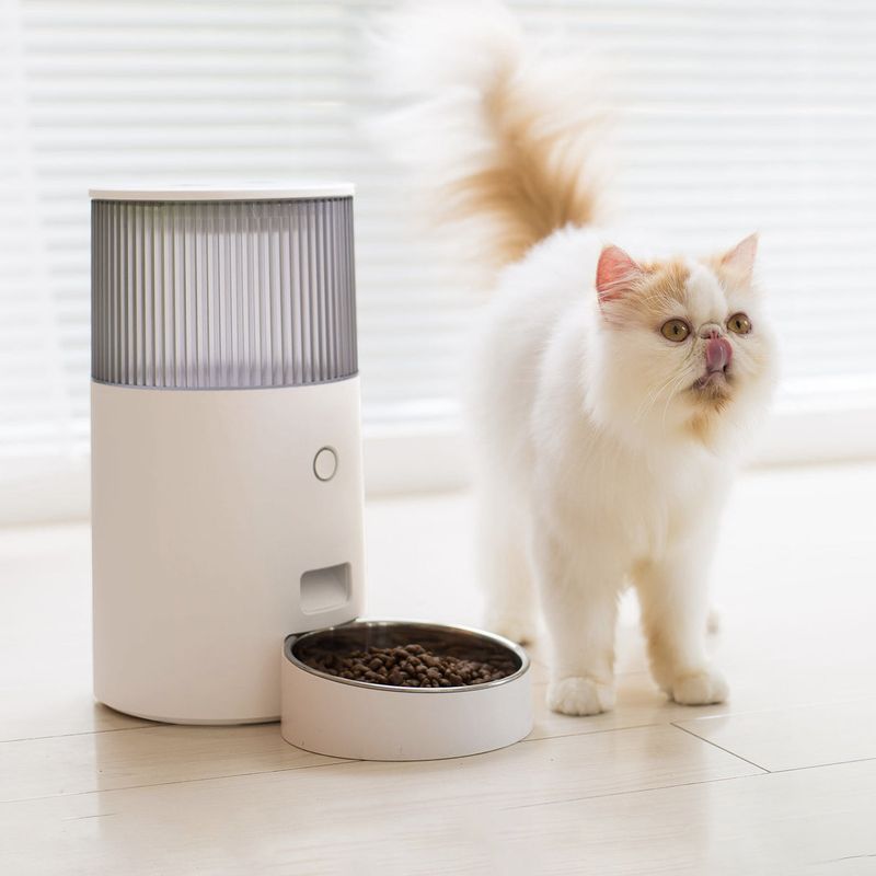 Automatic Treat Dispenser with Camera