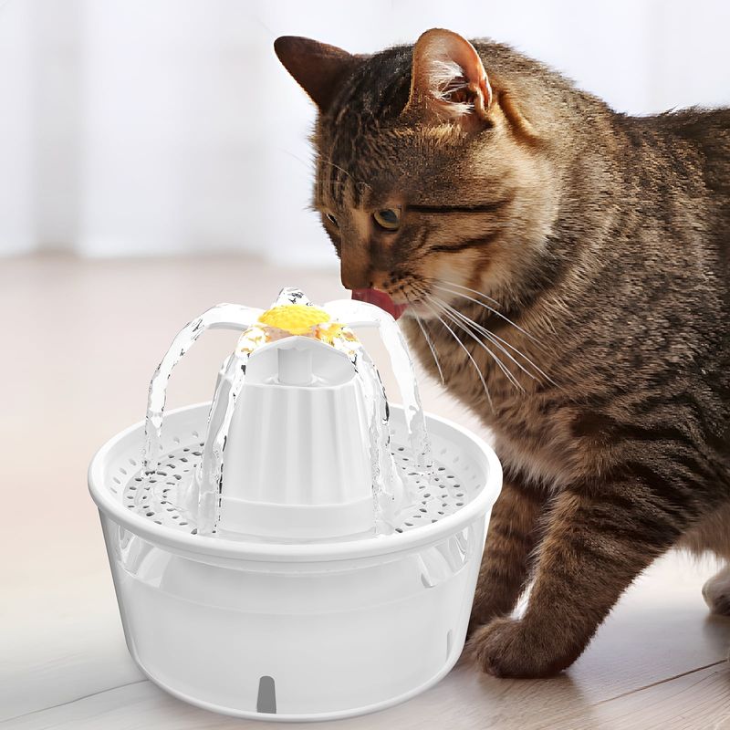 Automatic Water Fountain
