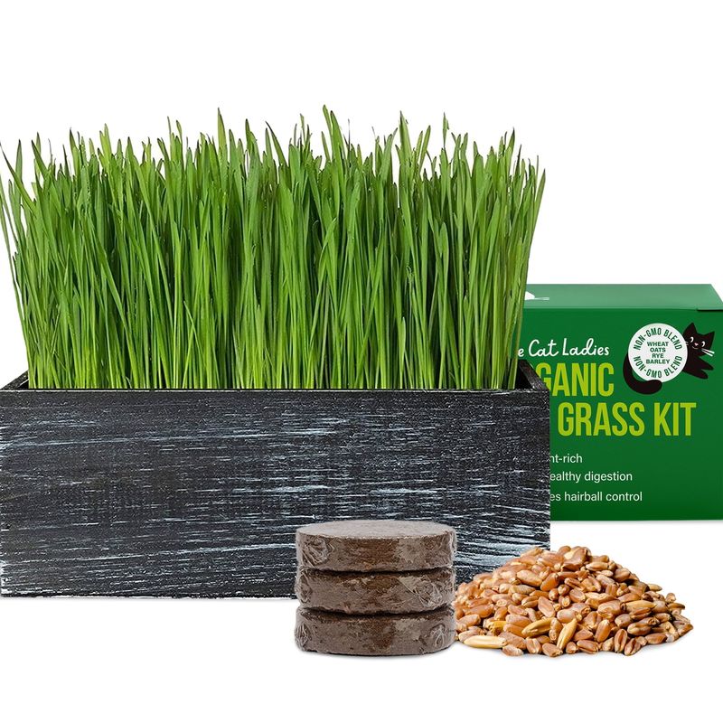 BEST: Specially Formulated Cat Grass