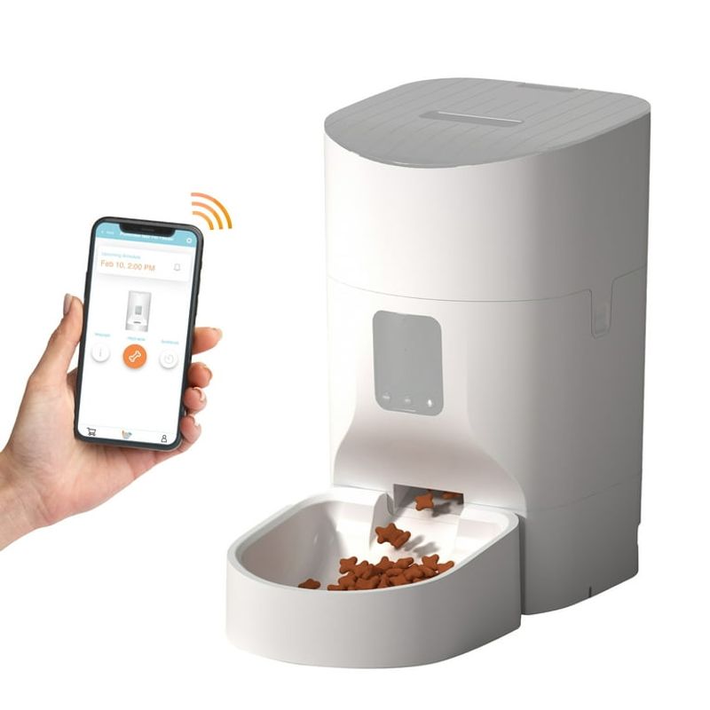 Balancing Act: Mealtime Routine for Busy Owners