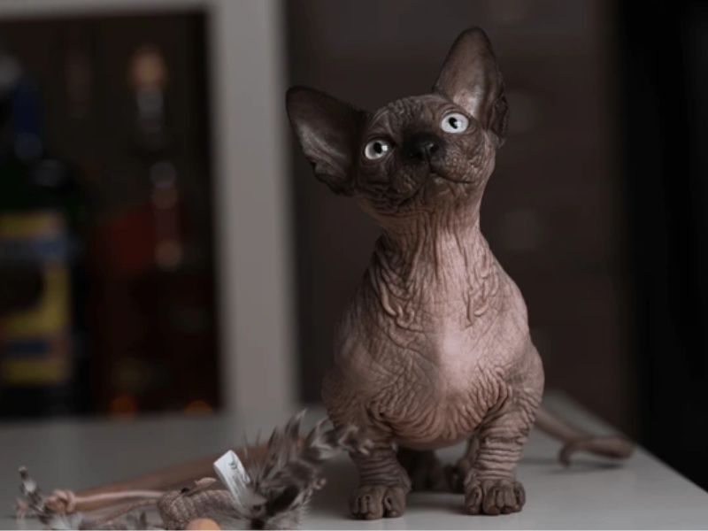 Bambino
