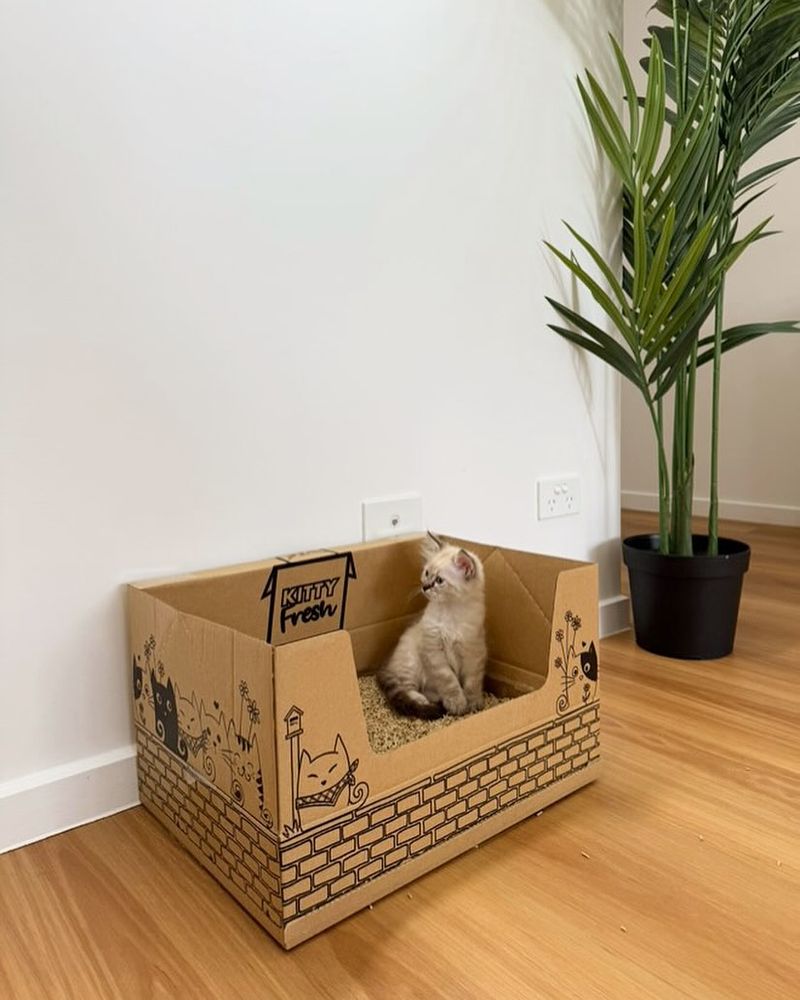 Bamboo Bliss Cat Litter