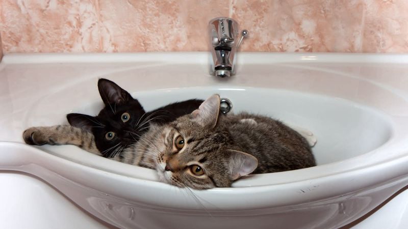 Bathroom Floor Freeze