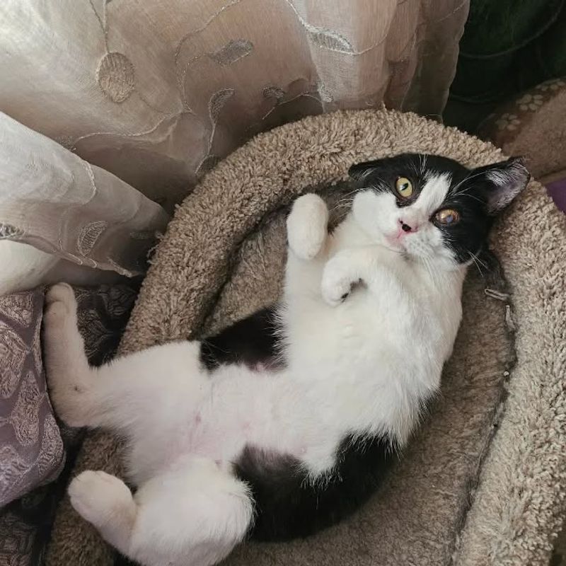 Belly Exposure During Relaxation