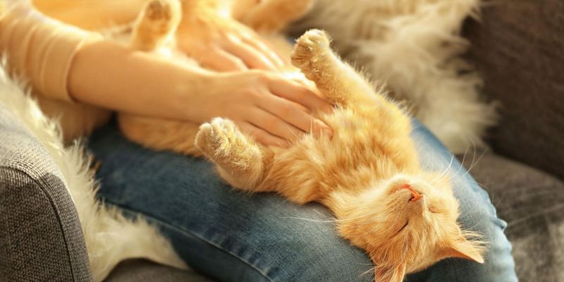Belly Exposure