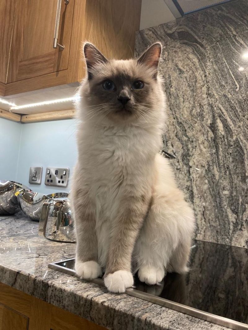 Birman