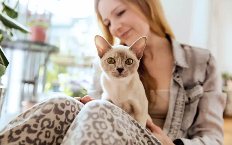 Burmese