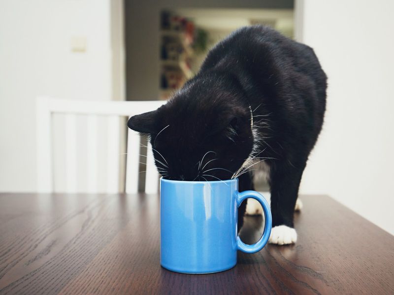 Caffeine