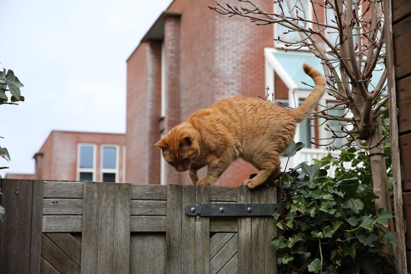 Calculated Risk Assessment