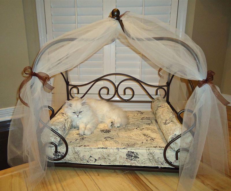 Canopy Bed