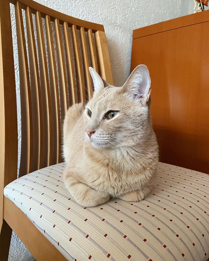 Caramel