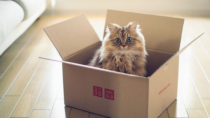 Cardboard Box Hideaways
