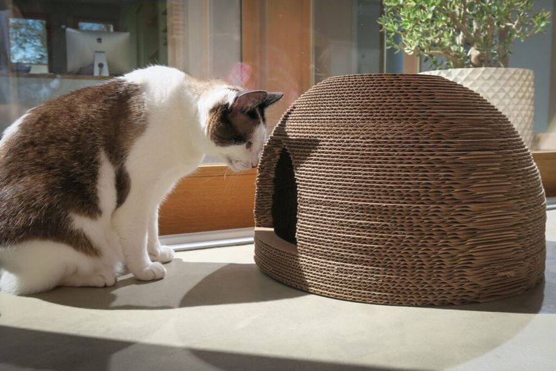 Cardboard Scratching Surfaces