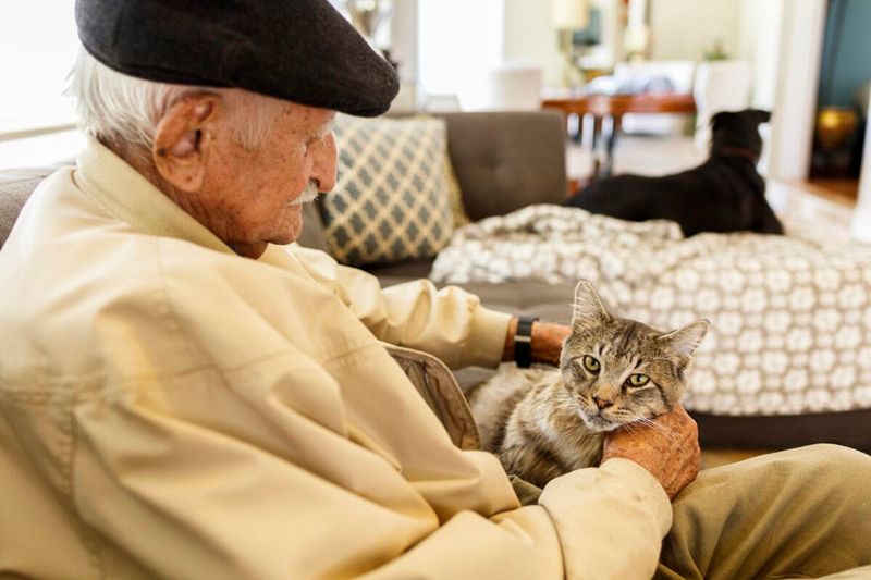 Cardiovascular Health Guardians
