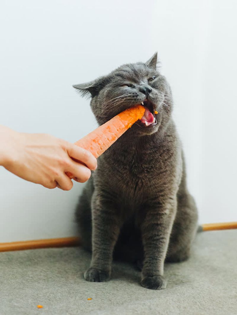 Carrots
