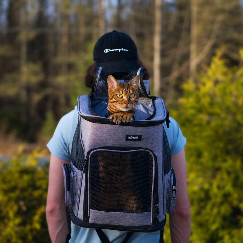 Cat Backpack Carrier