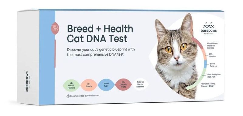 Cat DNA Test Kit