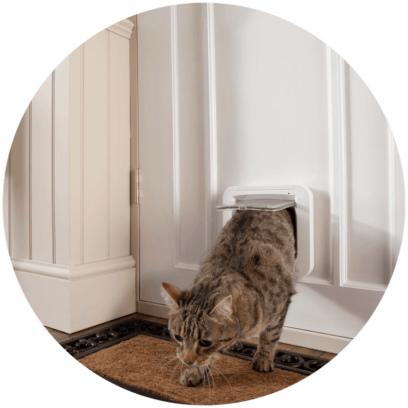 Cat Door Insert