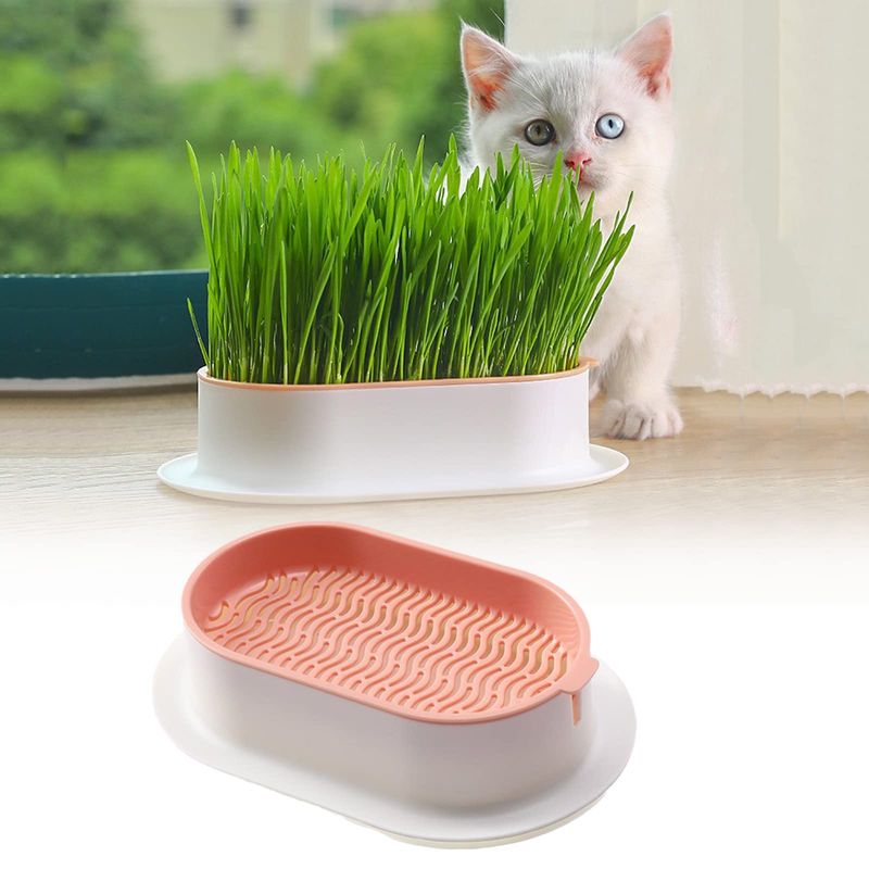 Cat Grass Planter