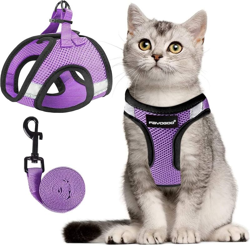 Cat Harness and Leash Set