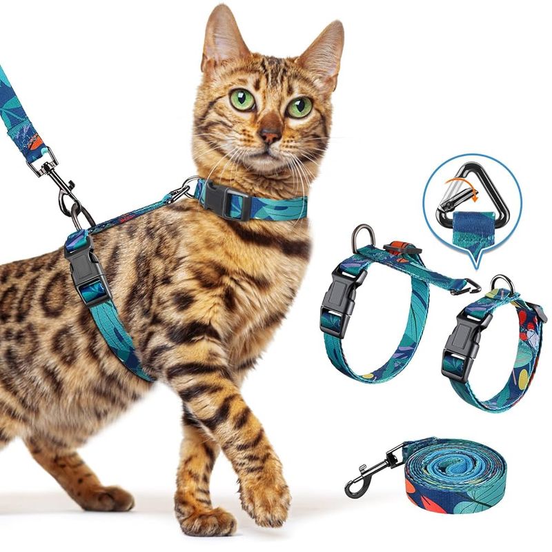 Cat Harness and Leash