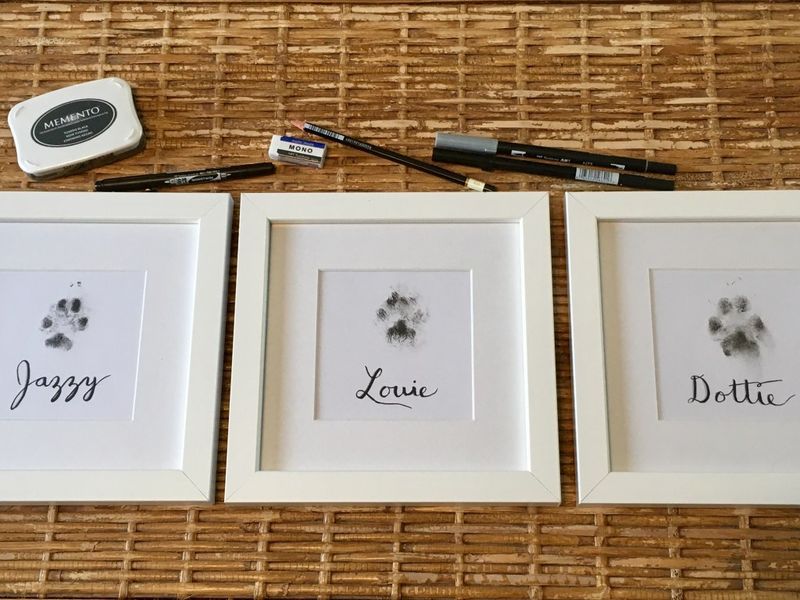 Cat Paw Print Art