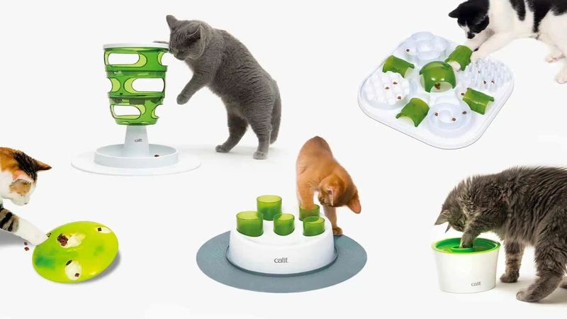 Cat Puzzle Feeder
