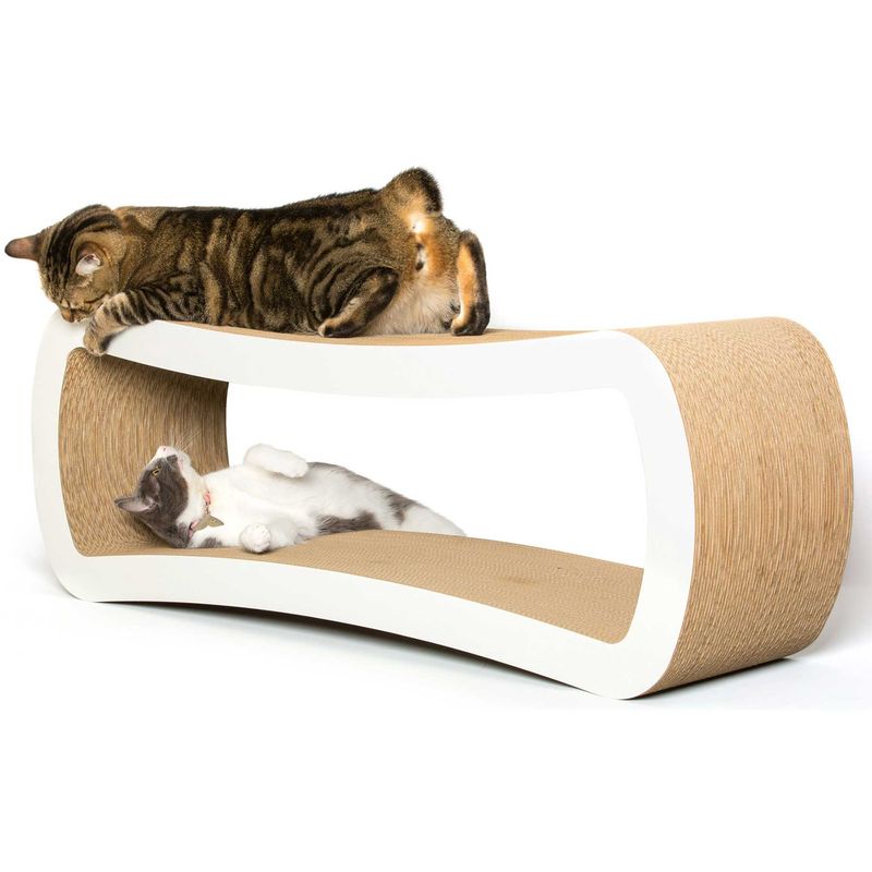 Cat Scratching Lounge