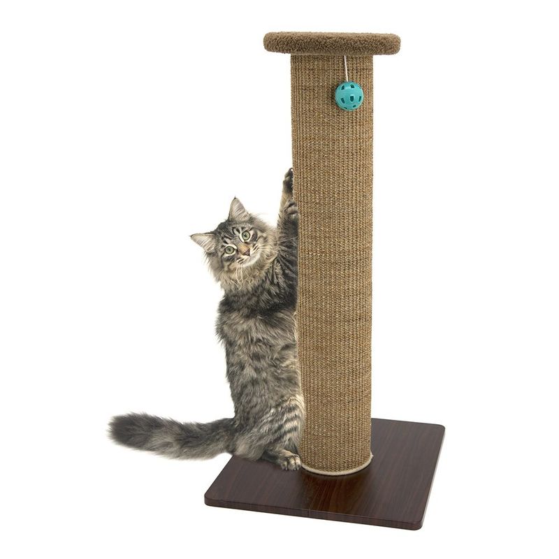 Cat Scratching Post