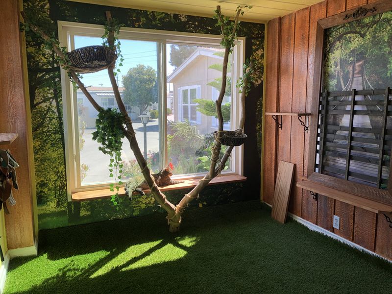 Cat Sunroom