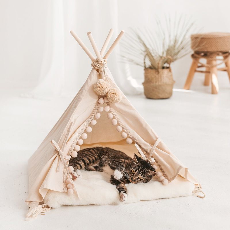 Cat Teepee