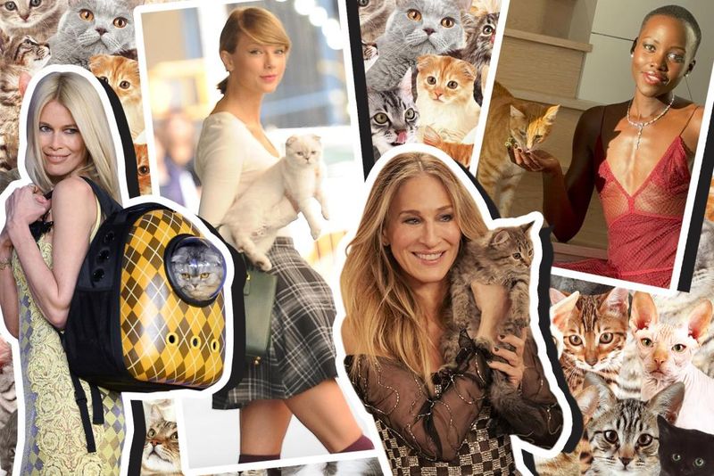 Cat-Themed Merchandise Dominates Their Closets
