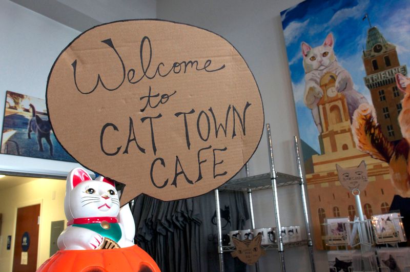 Cat Town Café – Oakland, CA