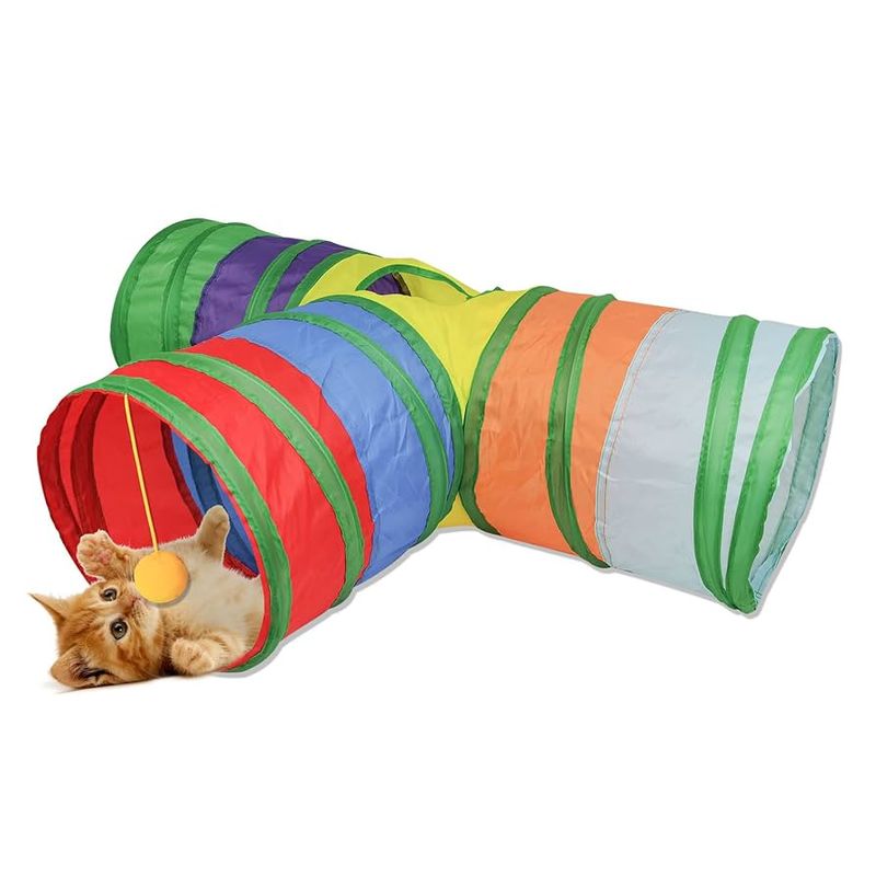 Cat Tunnel