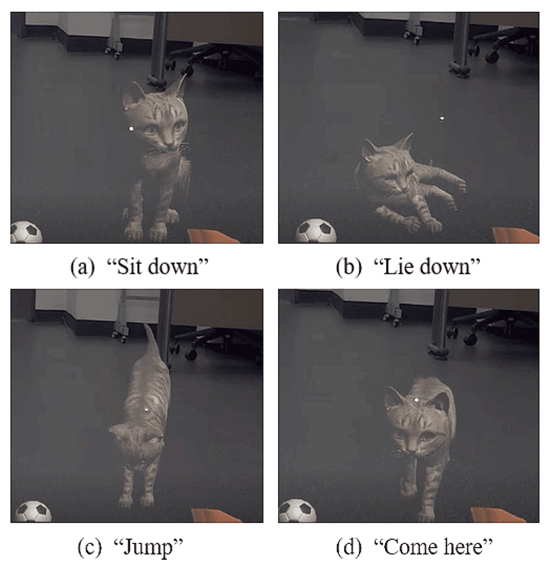Cat Videos as Stress Relief Technique