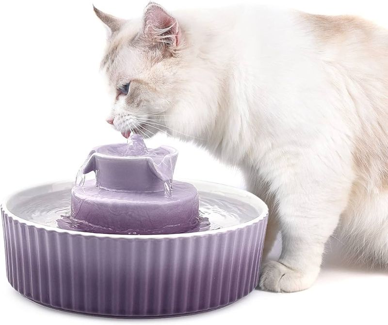 Cat Water Fountain