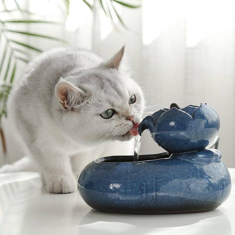 Cat Water Fountain