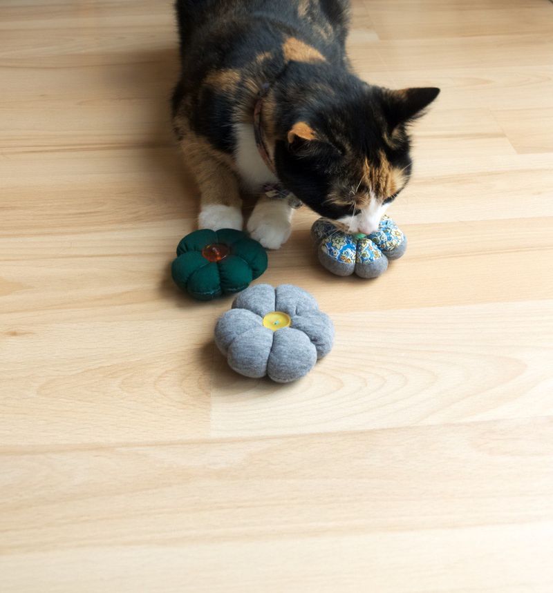 Catnip Infused Paper Balls