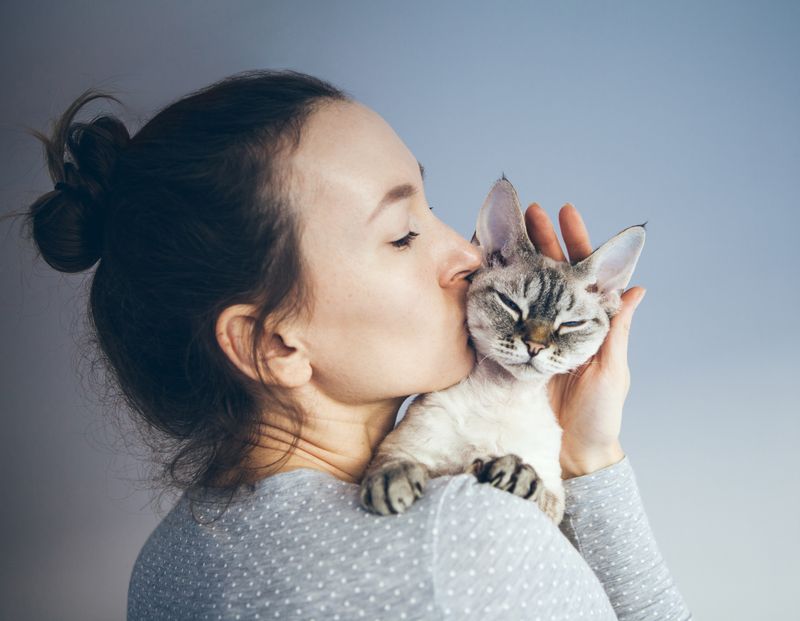 Cats Are Completely Independent