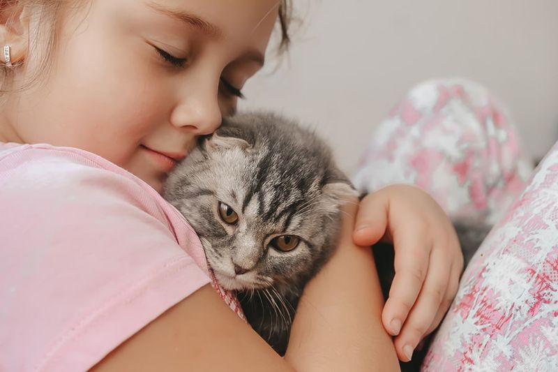 Cats Are Great With Kids