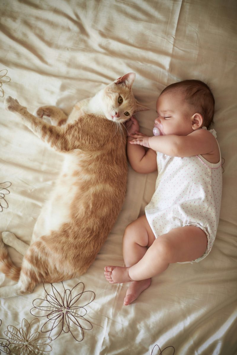 Cats Steal Babies' Breath