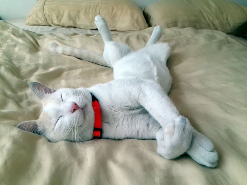 Changed Sleeping Positions