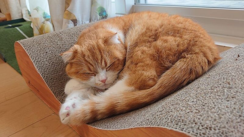 Changes in Sleep Patterns