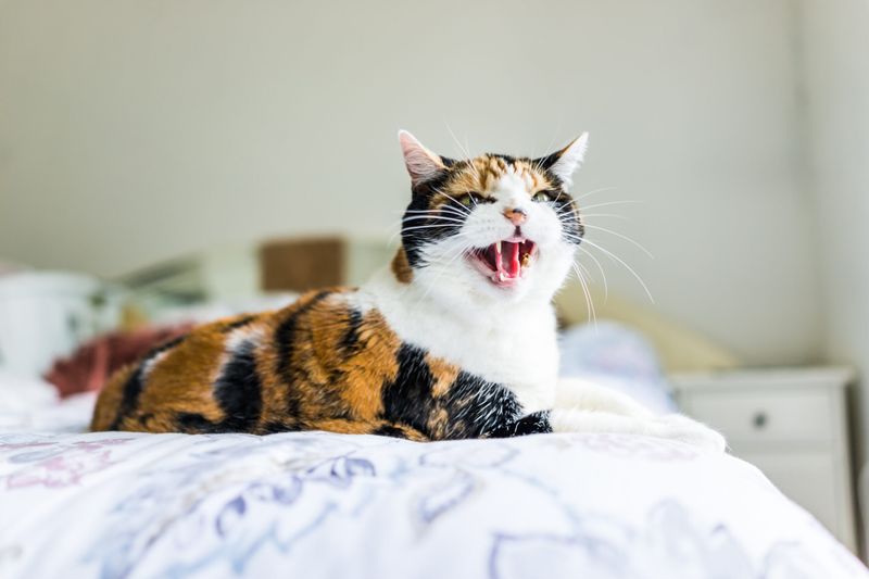 Changes in Vocalization