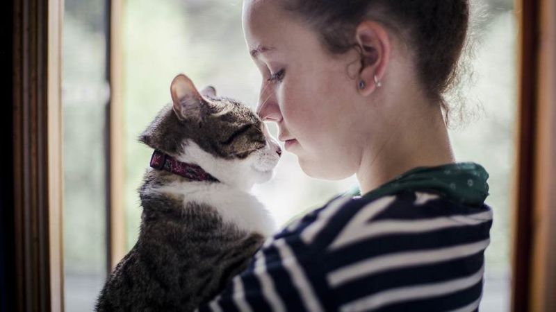 Chatty Greetings When You Return