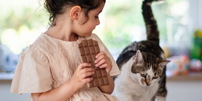 Chocolate