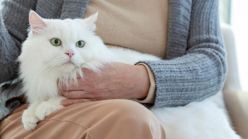 Choosing Your Lap Over Warm Spots